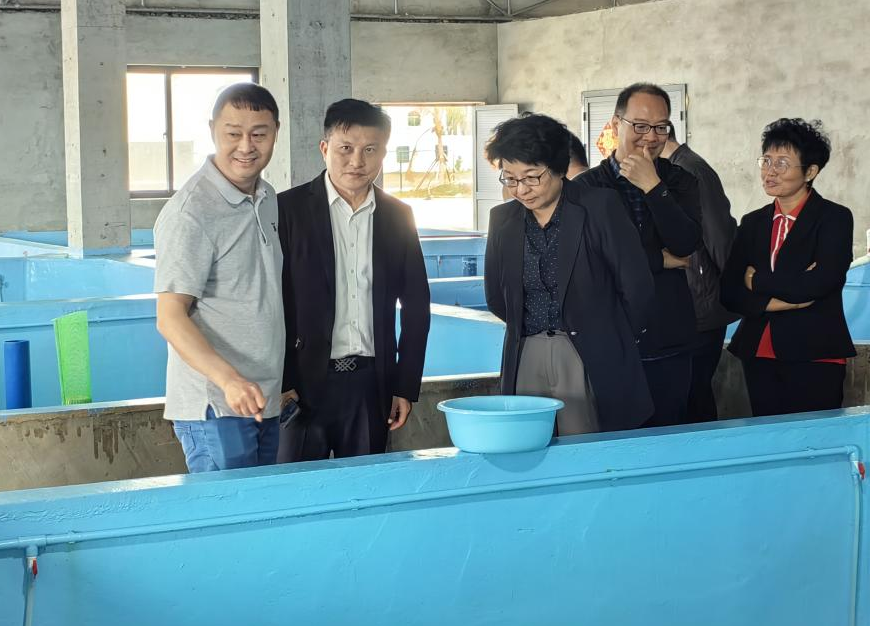 省政協(xié)肖鶯子副主席率隊到晨海種業(yè)調(diào)研