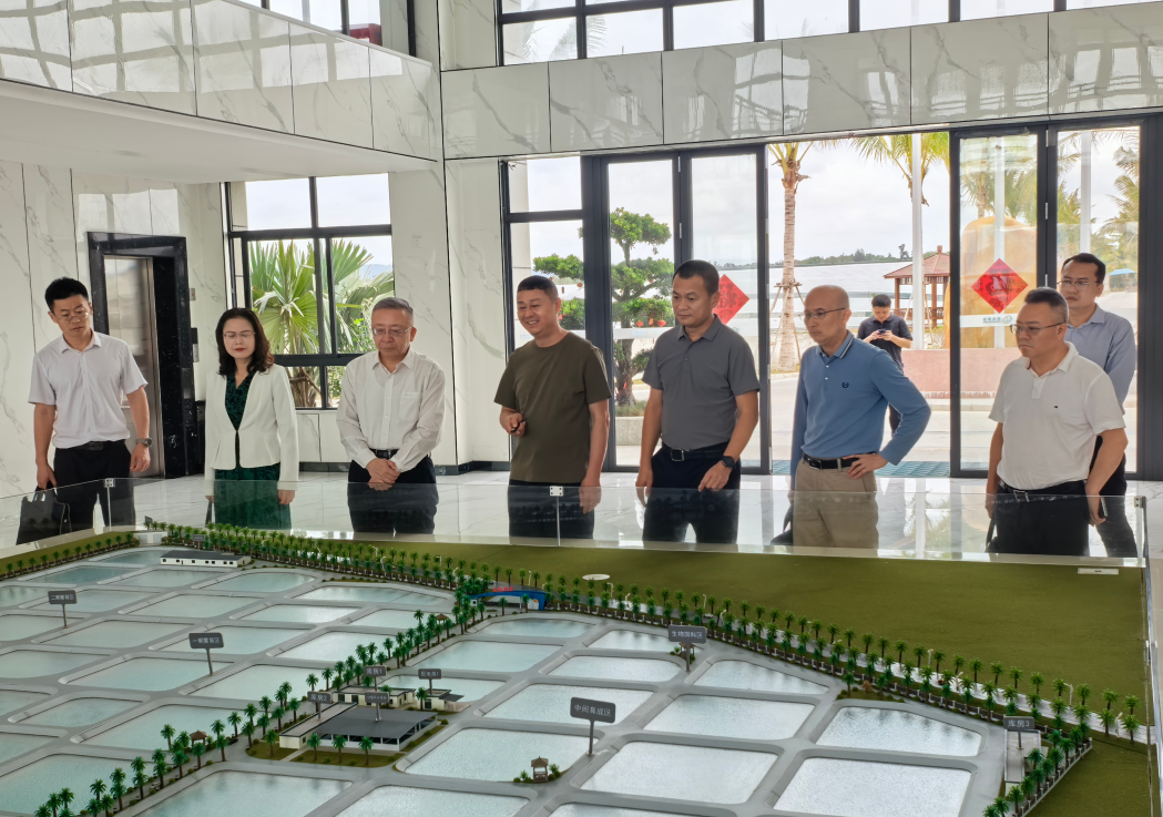 海南省稅務局黨委書記、局長李文濤一行到晨海種業(yè)調(diào)研